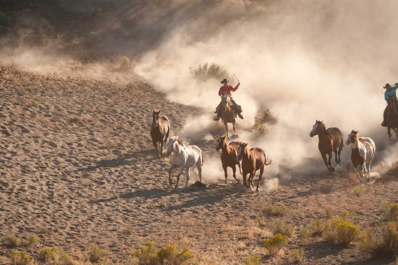 roundup-dosage-pour-1-litre-3