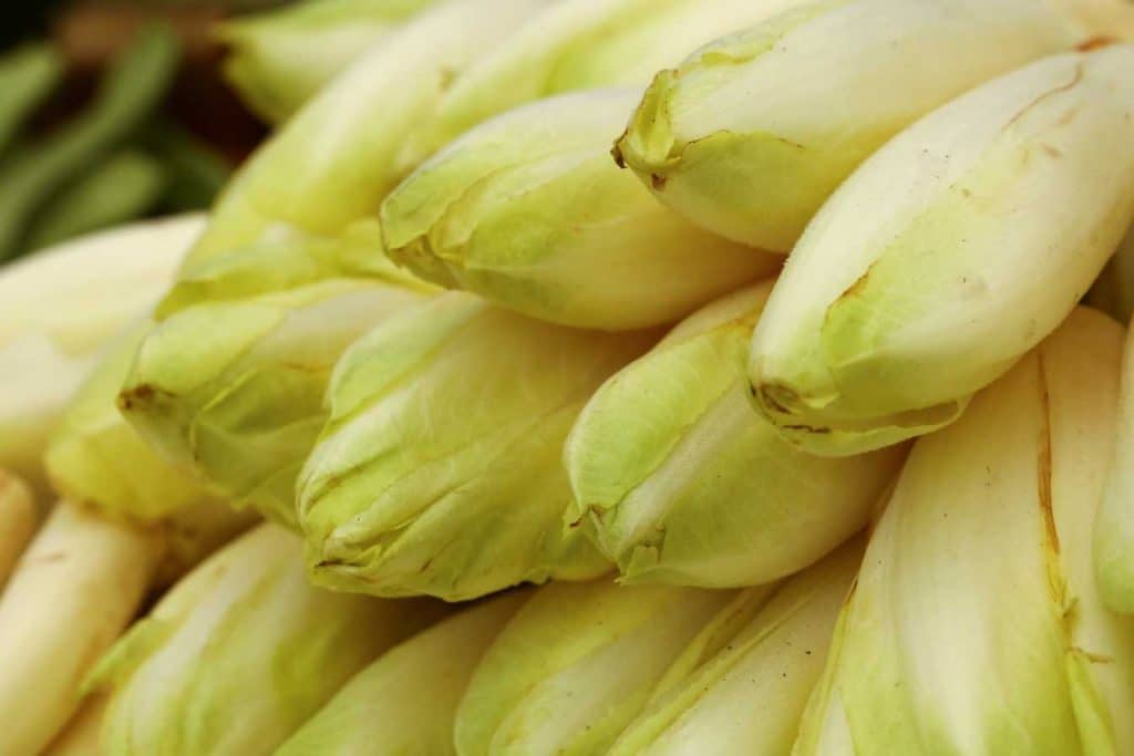 temps de cuisson endives a la vapeur guide complet 2025 pour une texture parfaite 1
