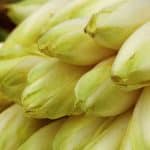 temps de cuisson endives a la vapeur guide complet 2025 pour une texture parfaite 1