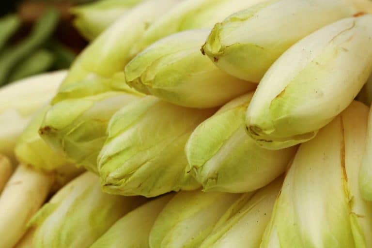 temps de cuisson endives a la vapeur guide complet 2025 pour une texture parfaite 1