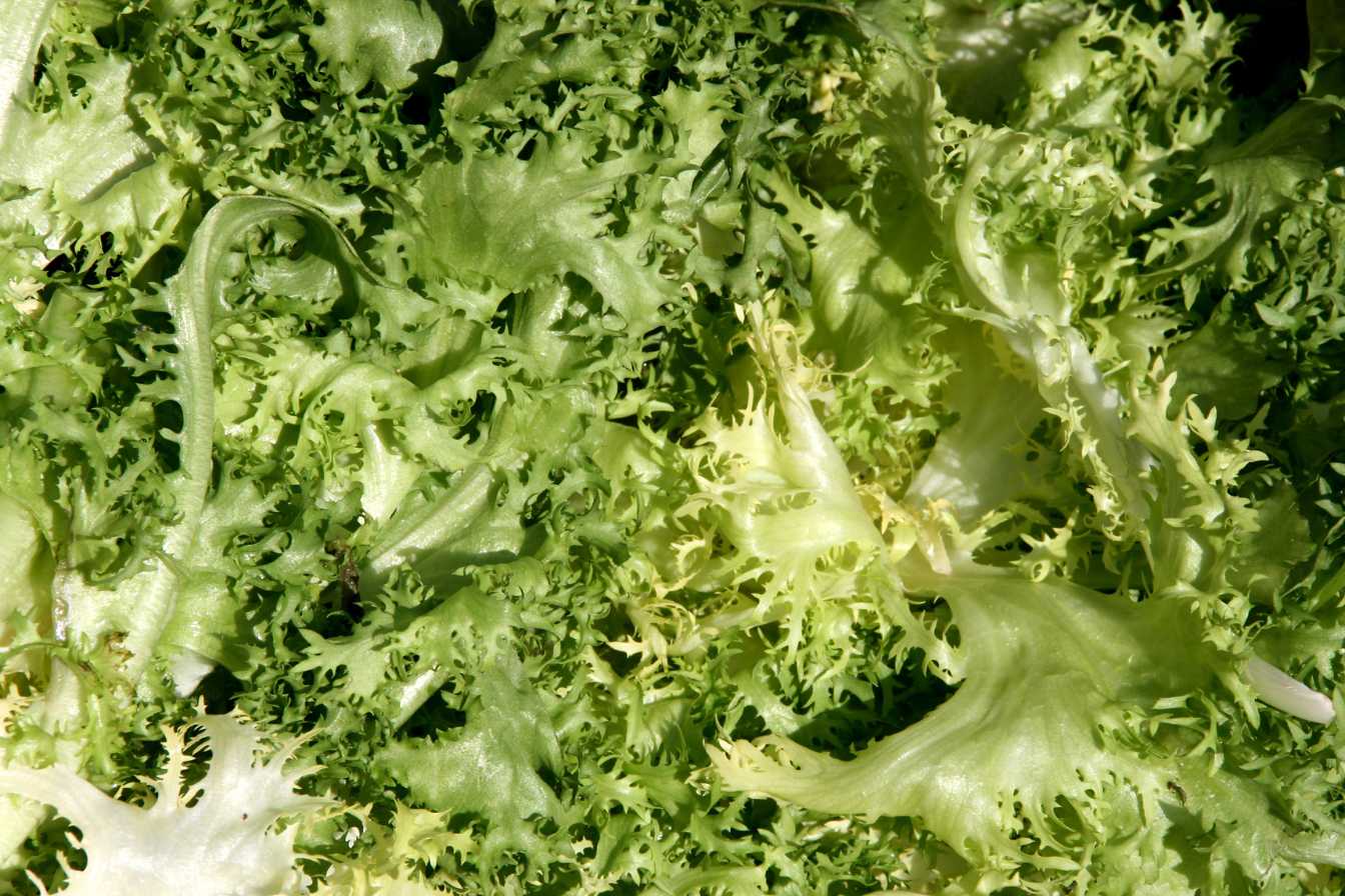 temps-de-cuisson-endives-a-la-vapeur-guide-complet-2025-pour-une-texture-parfaite-3